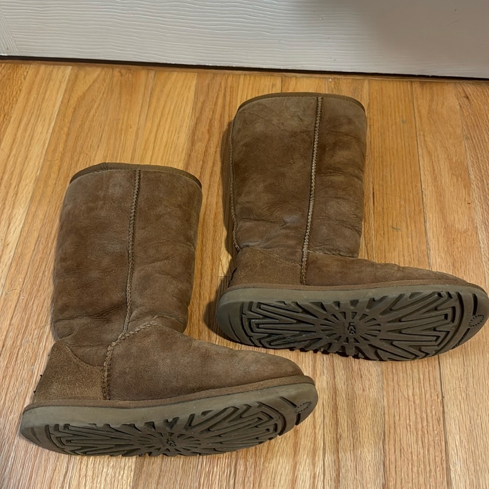 chestnut tall classic ugg